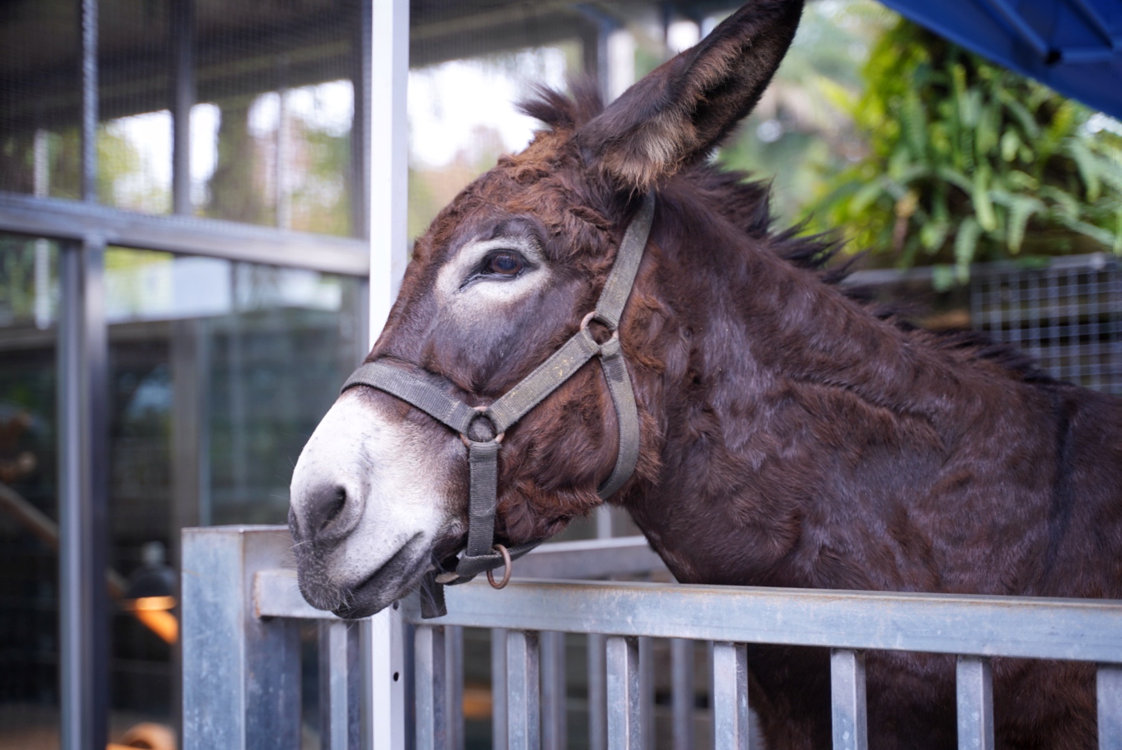 水岸森林物語動物園區