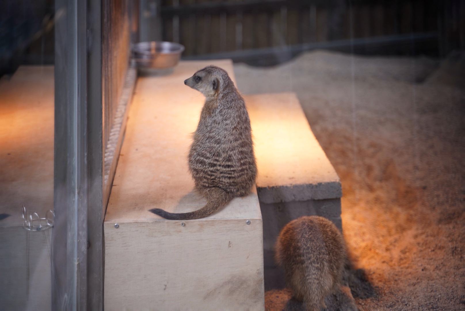 水岸森林物語動物園區