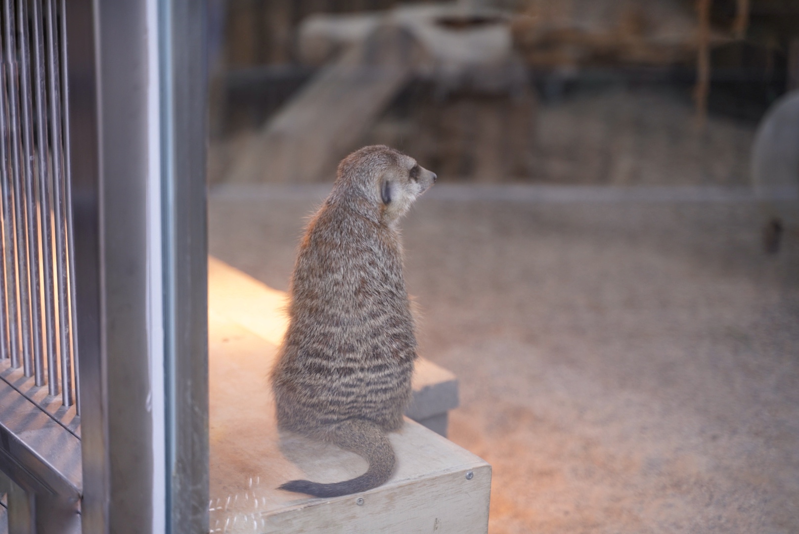 水岸森林物語動物園區