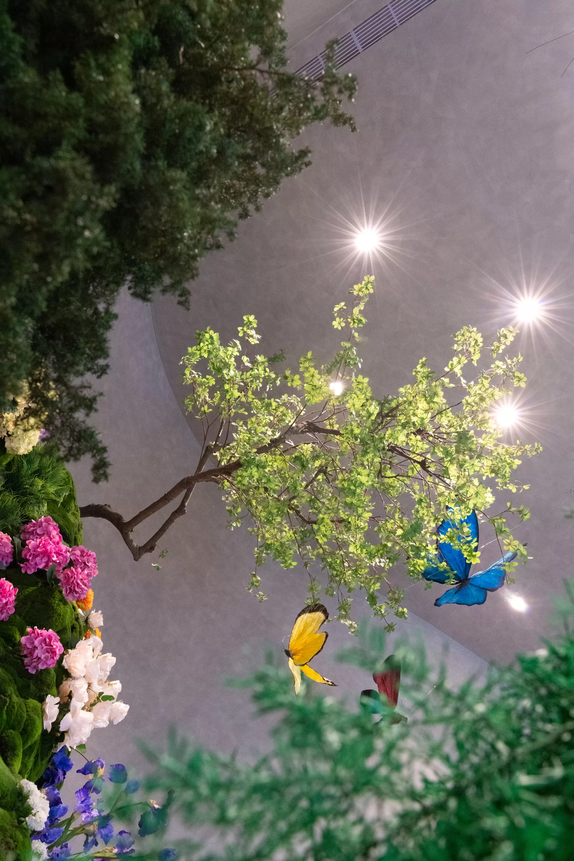 將捷旅境。真境