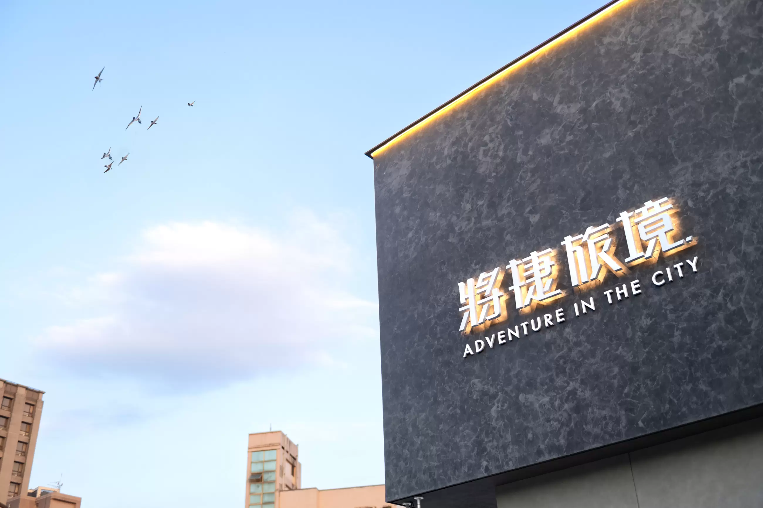 將捷旅境。真境