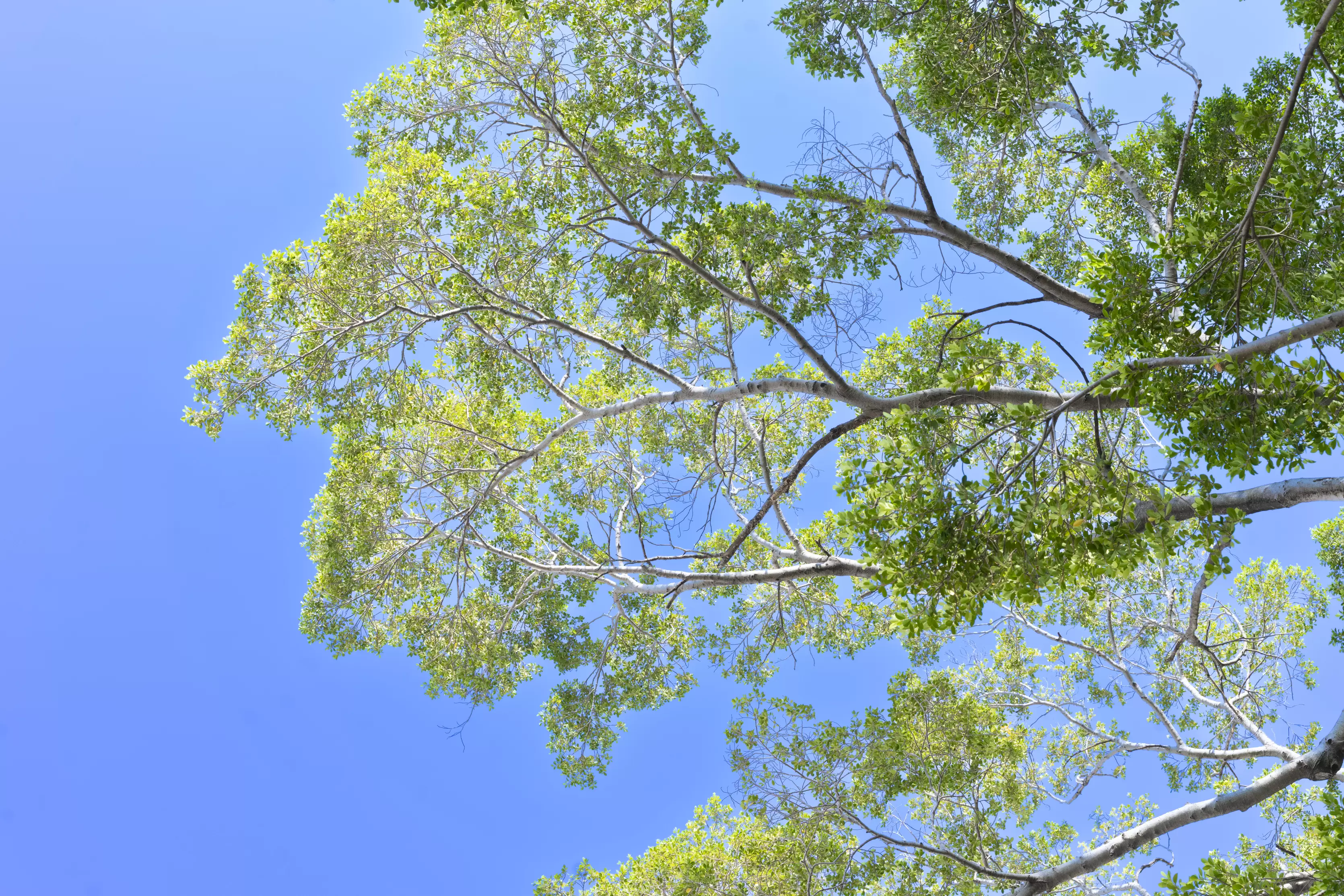 台南美術館一館