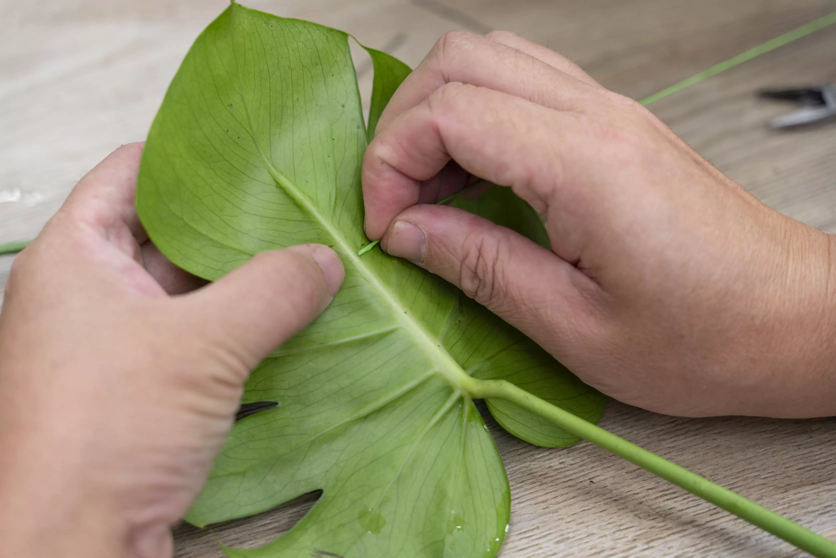張繼文 老師 花藝