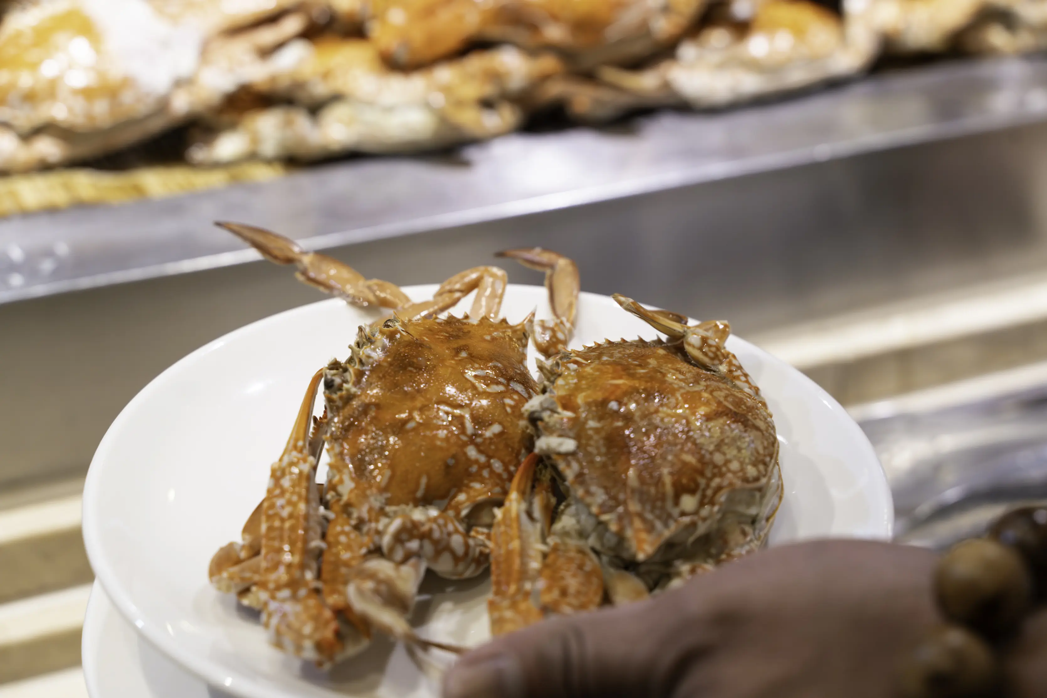 潮港城太陽百匯