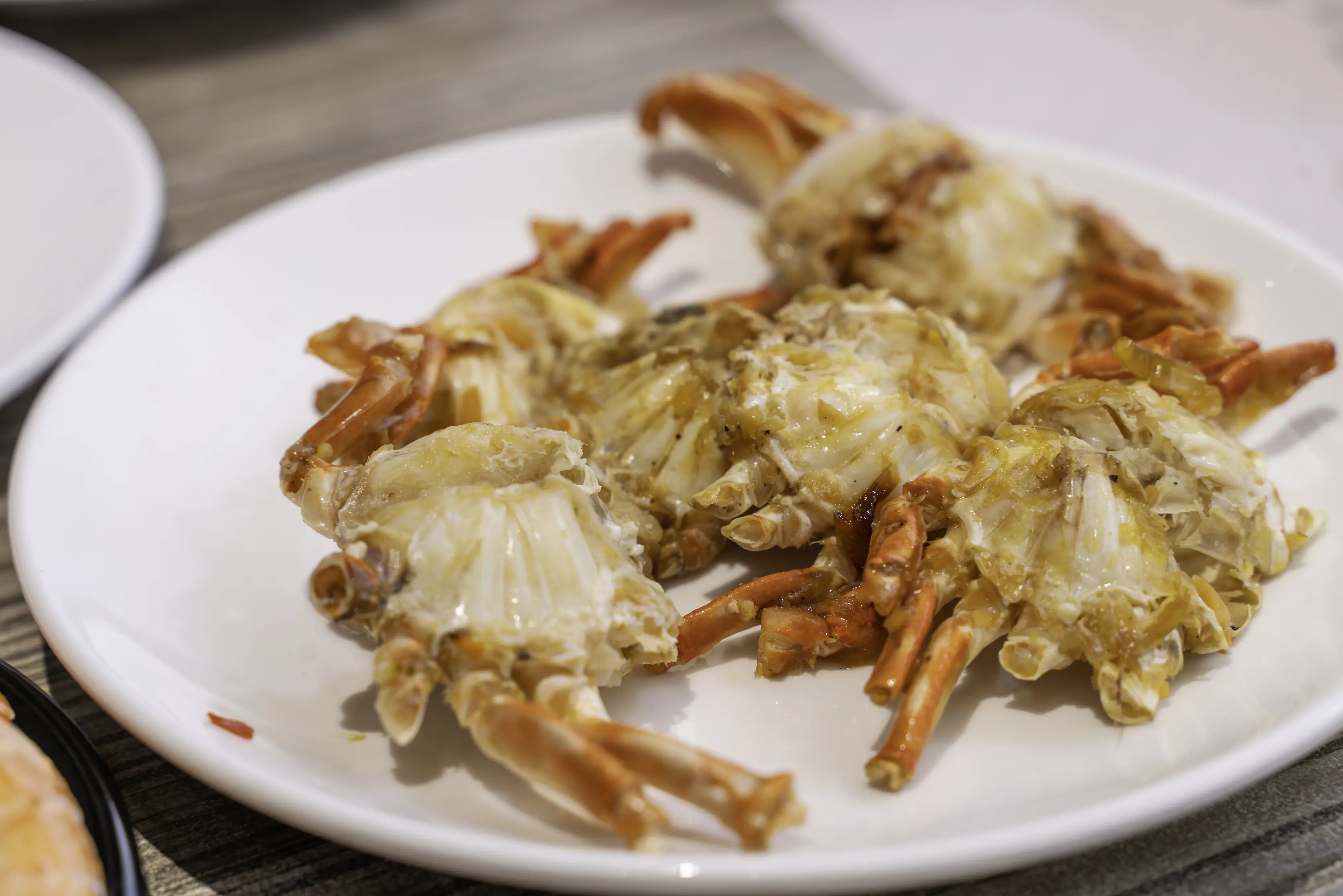 潮港城太陽百匯