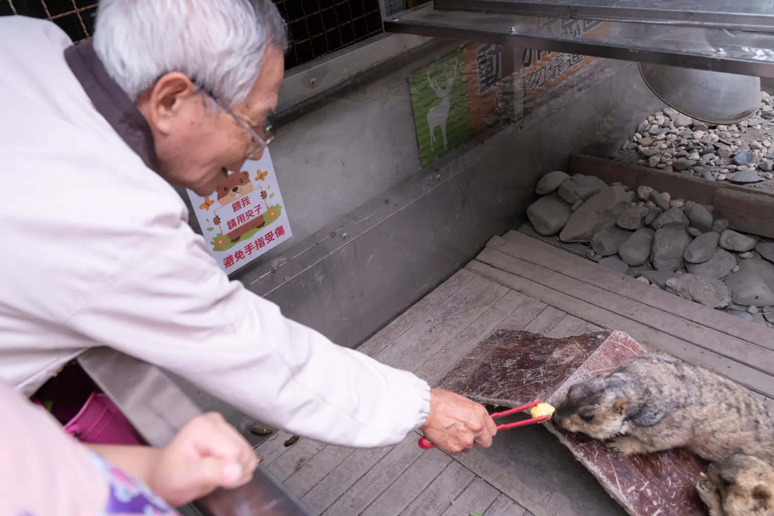 水岸森林物語動物